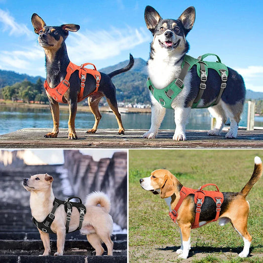 Reflective Nylon Dog Harness with Handle - Durable, Adjustable, and Designed for Visibility and Control