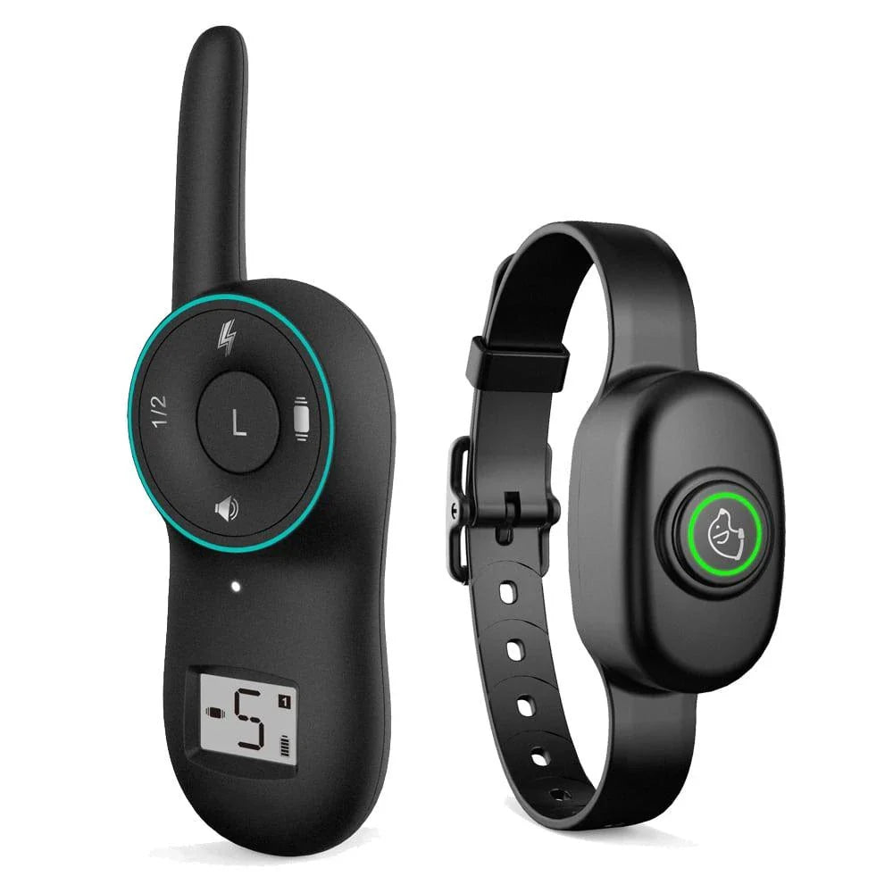 Dog wearing a black waterproof rechargeable training collar with a remote control