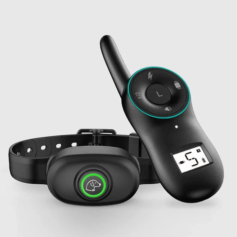 Dog wearing a black waterproof rechargeable training collar with a remote control