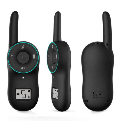 Dog wearing a black waterproof rechargeable training collar with a remote control
