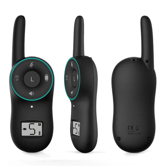 Dog wearing a black waterproof rechargeable training collar with a remote control
