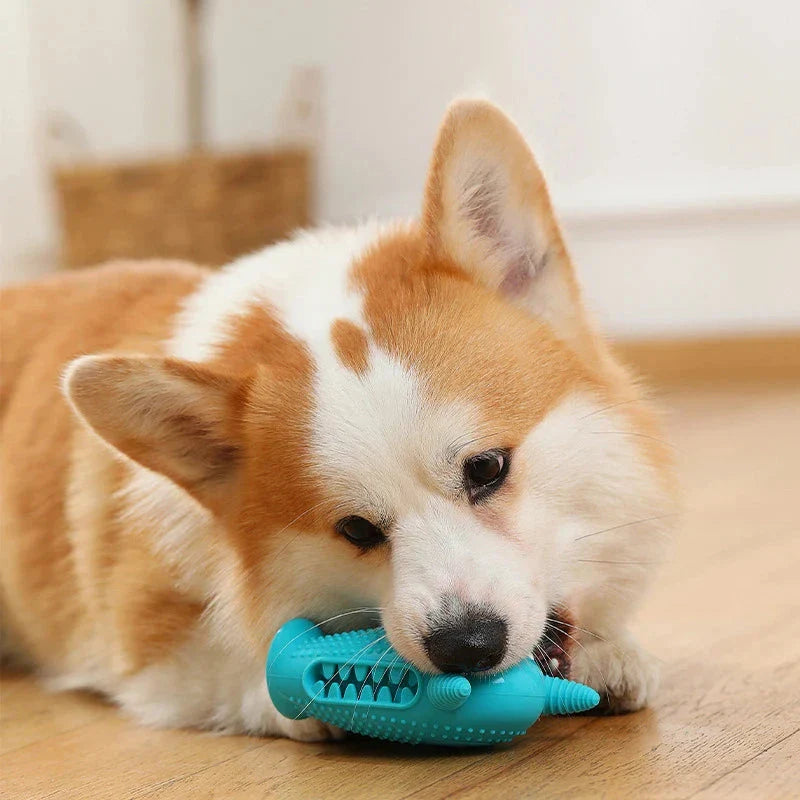 A cute interactive silicone dog toy shaped like a little monster, designed to clean teeth and promote dental health while providing entertainment.