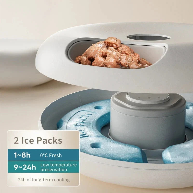 Trendha 6-Meal Automatic Pet Feeder for Cats, a convenient and reliable feeding solution for your feline friend