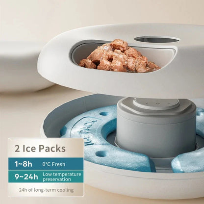 Trendha 6-Meal Automatic Pet Feeder for Cats, a convenient and reliable feeding solution for your feline friend