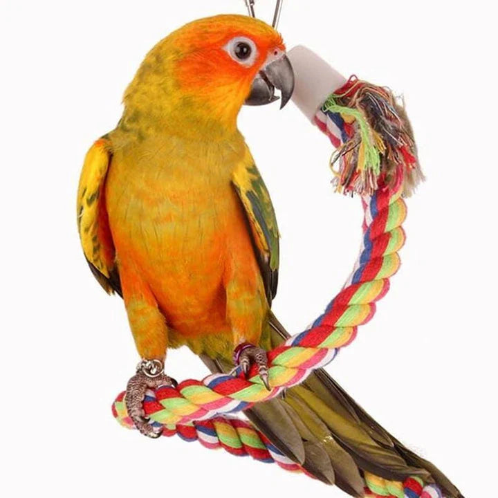 A beautifully crafted woven spiral toy designed to entertain and engage pet birds with its mesmerizing design and premium cotton construction.