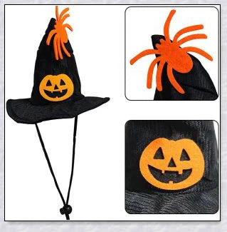 A cat wearing a Halloween costume set with a pumpkin and spider pattern hat and a collar with jingle bells.