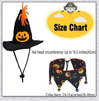 A cat wearing a Halloween costume set with a pumpkin and spider pattern hat and a collar with jingle bells.