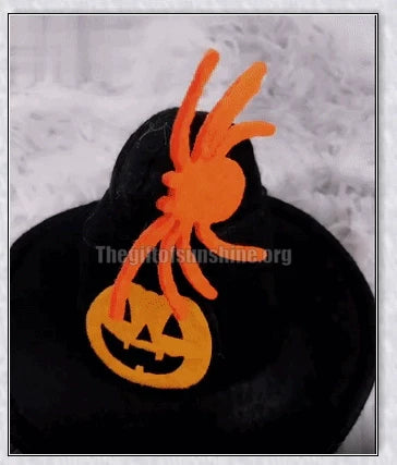 A cat wearing a Halloween costume set with a pumpkin and spider pattern hat and a collar with jingle bells.