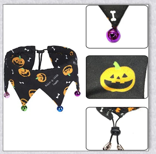 A cat wearing a Halloween costume set with a pumpkin and spider pattern hat and a collar with jingle bells.