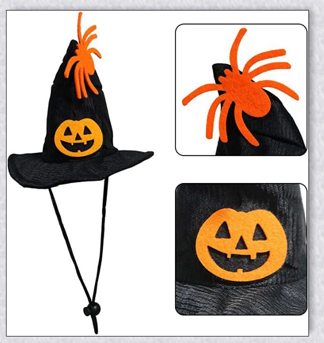 A cat wearing a Halloween costume set with a pumpkin and spider pattern hat and a collar with jingle bells.