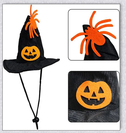 A cat wearing a Halloween costume set with a pumpkin and spider pattern hat and a collar with jingle bells.