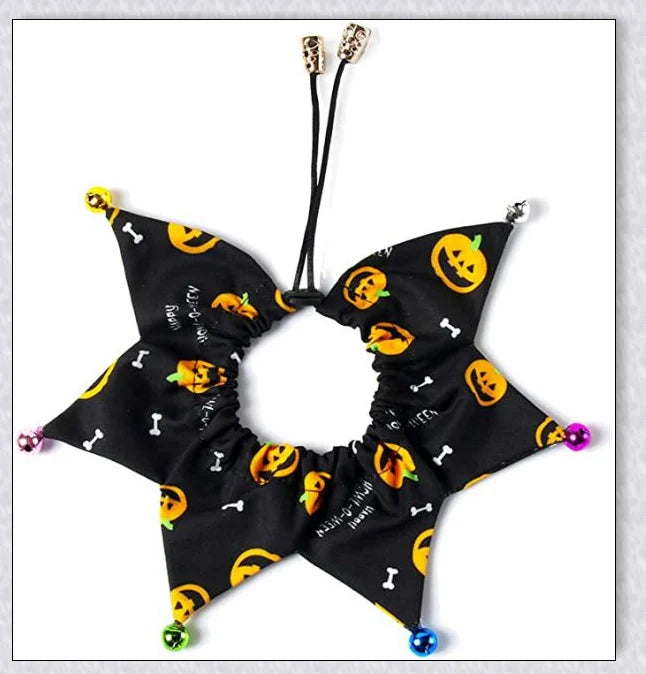 A cat wearing a Halloween costume set with a pumpkin and spider pattern hat and a collar with jingle bells.