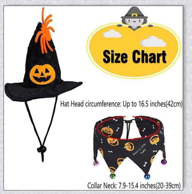 A cat wearing a Halloween costume set with a pumpkin and spider pattern hat and a collar with jingle bells.
