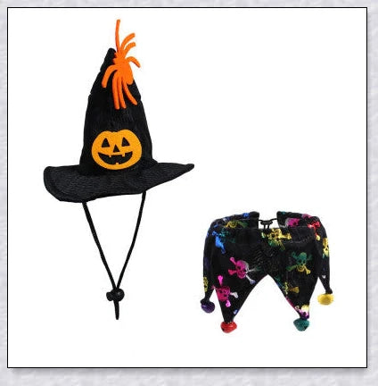 A cat wearing a Halloween costume set with a pumpkin and spider pattern hat and a collar with jingle bells.