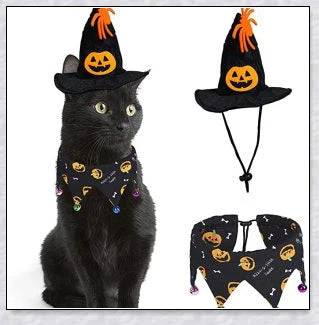 A cat wearing a Halloween costume set with a pumpkin and spider pattern hat and a collar with jingle bells.