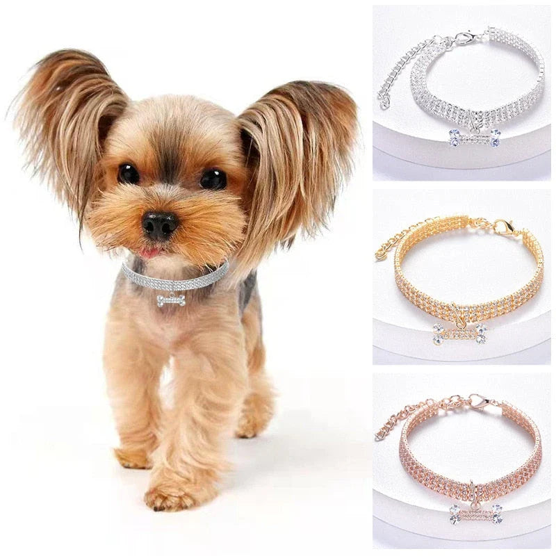 Luxury Adjustable Pet Collar with Zircon Bone Pendant in Silver, Gold, and Rose Gold colours