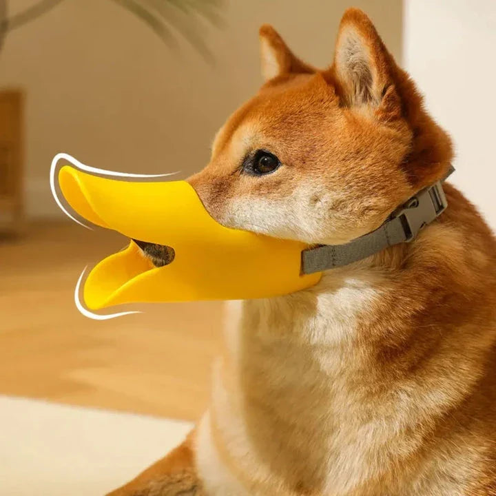 Soft, lightweight, and flexible silicone dog muzzle with a cute duck-bill design for preventing barking, biting, and licking in small to medium-sized dogs