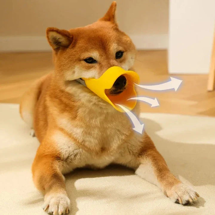 Soft, lightweight, and flexible silicone dog muzzle with a cute duck-bill design for preventing barking, biting, and licking in small to medium-sized dogs