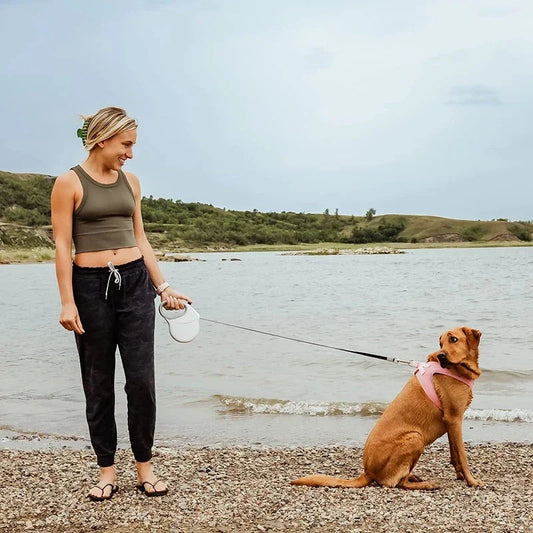 Robust and durable retractable dog leash with reflective material and anti-slip handle for medium to large dogs