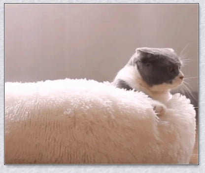 Round and raised cat marshmallow bed in white and grey colours, designed to promote healthy and restful sleep for cats
