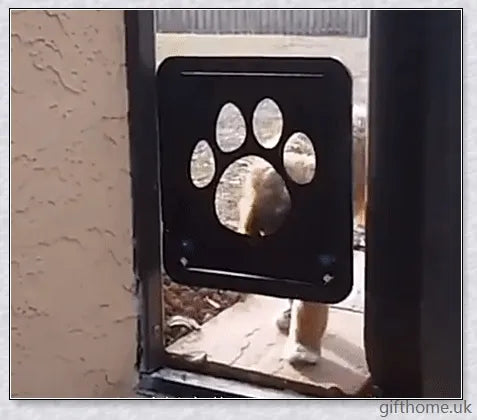 Controllable Access Pet Door with Sliding Lock Mechanism for Secure and Convenient Pet Entry