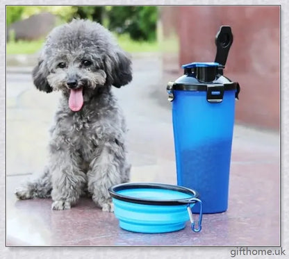 2-in-1 pet water bottle dispenser with collapsible bowls for travelling with dogs and cats