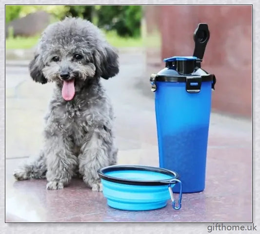 2-in-1 pet water bottle dispenser with collapsible bowls for travelling with dogs and cats