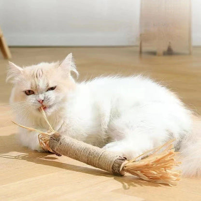 Natural Silvervine Catnip Sticks - Premium cat chew toys that promote play, dental care, and digestive health