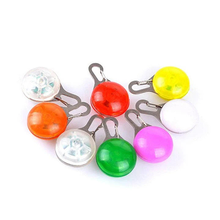Bright LED flashlight securely attached to a pet's collar, providing visibility and safety during evening walks.
