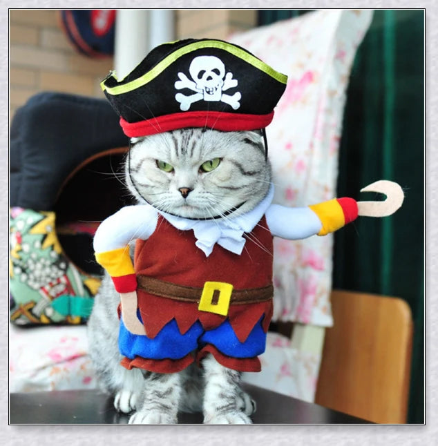 A cat wearing a pirate costume, designed to bring style and comfort to your feline friend during Halloween and other occasions.