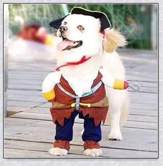 A cat wearing a pirate costume, designed to bring style and comfort to your feline friend during Halloween and other occasions.