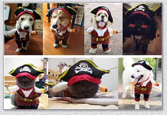 A cat wearing a pirate costume, designed to bring style and comfort to your feline friend during Halloween and other occasions.