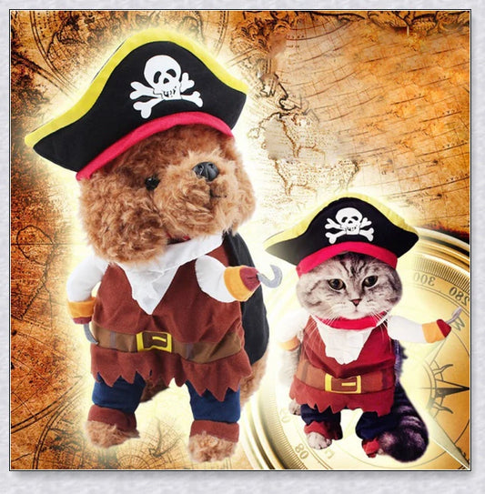 A cat wearing a pirate costume, designed to bring style and comfort to your feline friend during Halloween and other occasions.