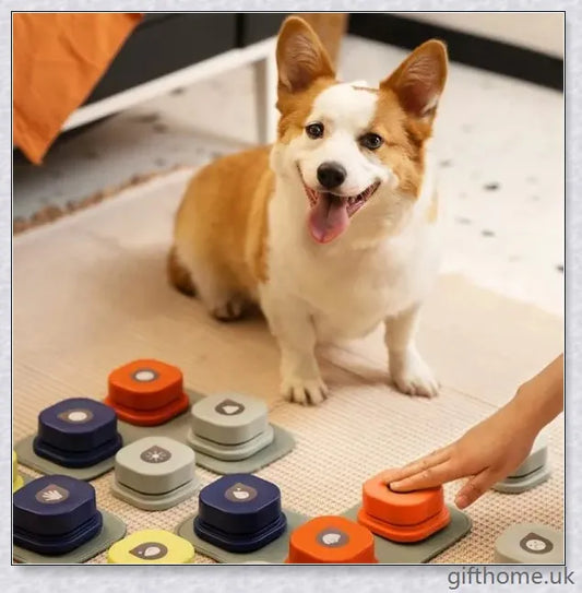 4 Colours Pet Communication Button - One-Click Recordable Dog Talking Button for Improved Pet-Owner Interaction