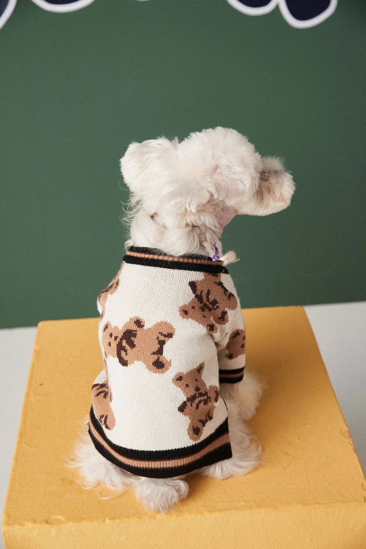 Stylish striped pet sweater in various colours and sizes for dogs and cats