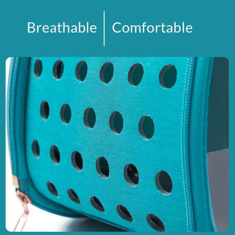 Transparent PVC pet backpack with ventilation holes and secure lock