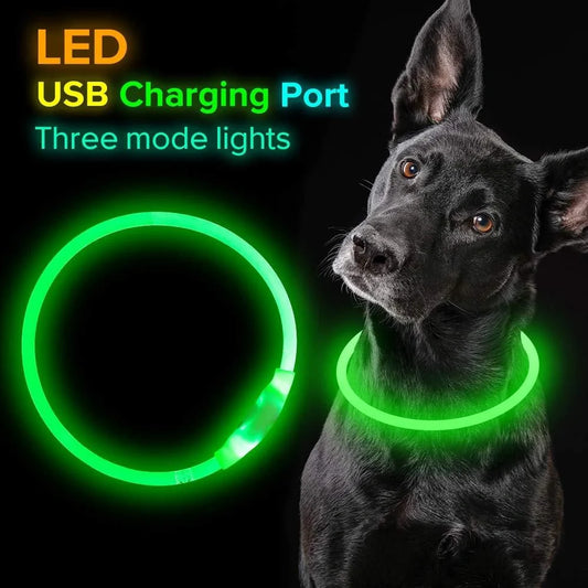 USB rechargeable LED pet safety collar for night visibility