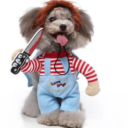 A charming pet costume with a three-piece ensemble of a whimsical hat, cosy clothing, and a dashing cloak, designed to make your furry friend the life of the party.