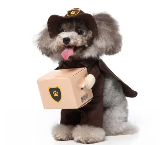 A charming pet costume with a three-piece ensemble of a whimsical hat, cosy clothing, and a dashing cloak, designed to make your furry friend the life of the party.