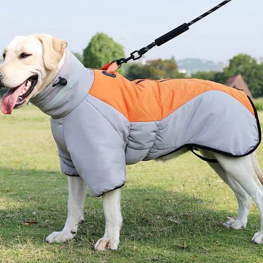 Warm and waterproof dog coat in various colors, designed for medium to large dogs to keep them cozy and protected during the winter.