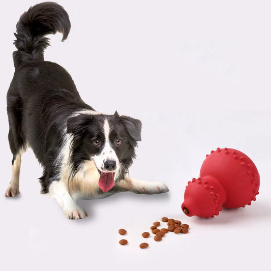 A durable, interactive dog toy made of natural rubber that dispenses treats as the dog plays with it