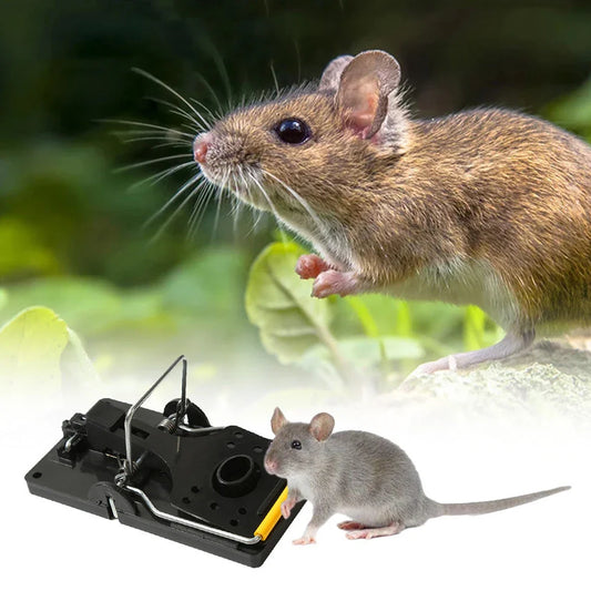 Durable reusable rodent traps with strong springs and smooth, easy-to-clean surface for effective household pest control