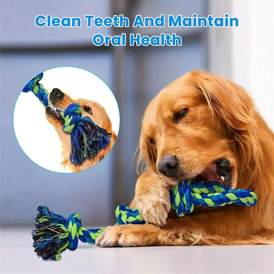 Durable rope knot dog toys for large breeds, promoting dental health and fun play