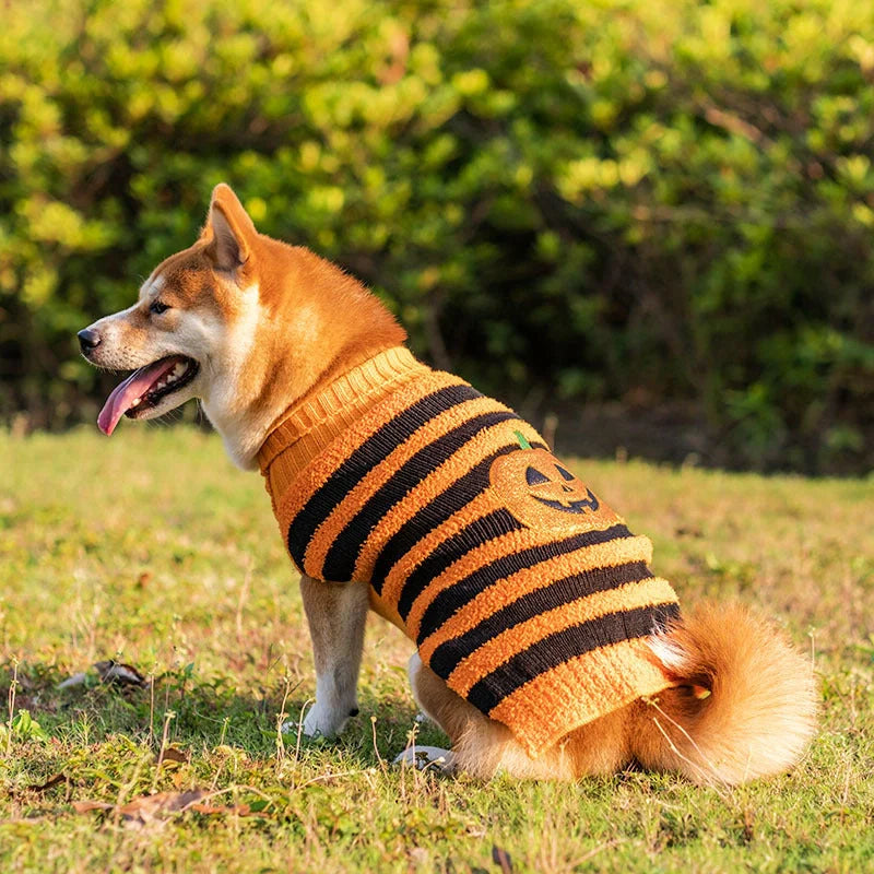 Halloween dog sweater in acrylic material for small pets, available in festive designs