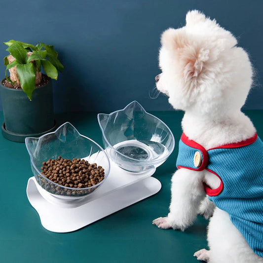 Inclined transparent cat food bowl with a gently sloped base and ergonomic design for whisker-friendly dining