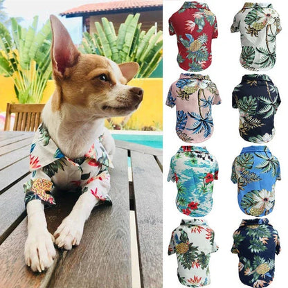 Chic summer dog shirt in vibrant tropical prints, made of breathable chiffon fabric for comfort