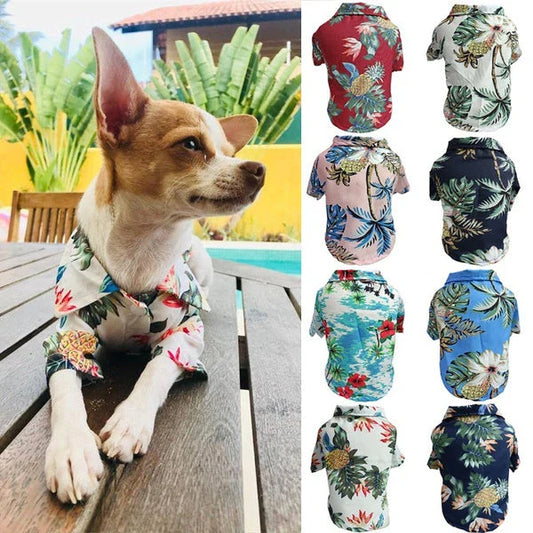 Chic summer dog shirt in vibrant tropical prints, made of breathable chiffon fabric for comfort