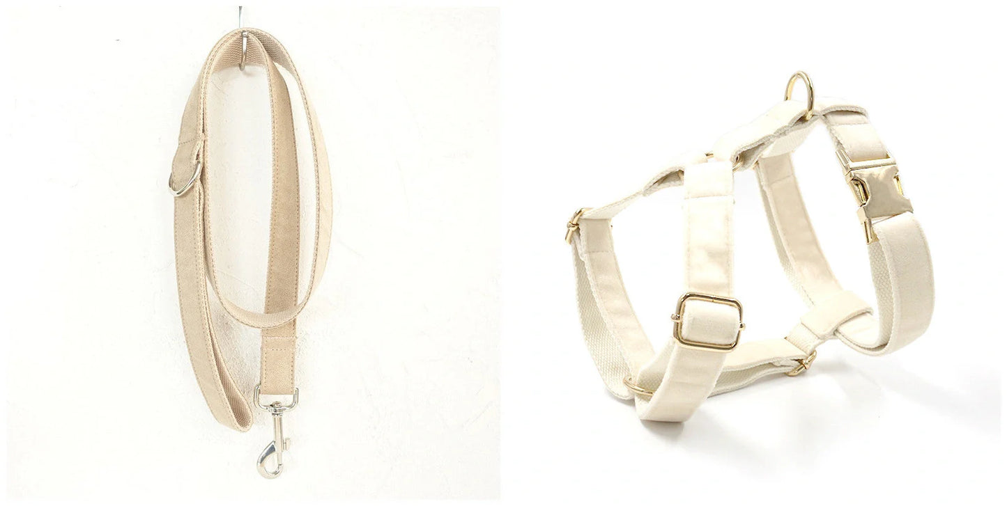 Durable dog collar and traction rope set in nude colour, perfect for safe and stylish walks.