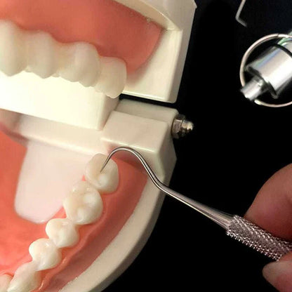 Premium Stainless Steel Toothpick Set with Short and Long Picks for Portable Dental Cleaning