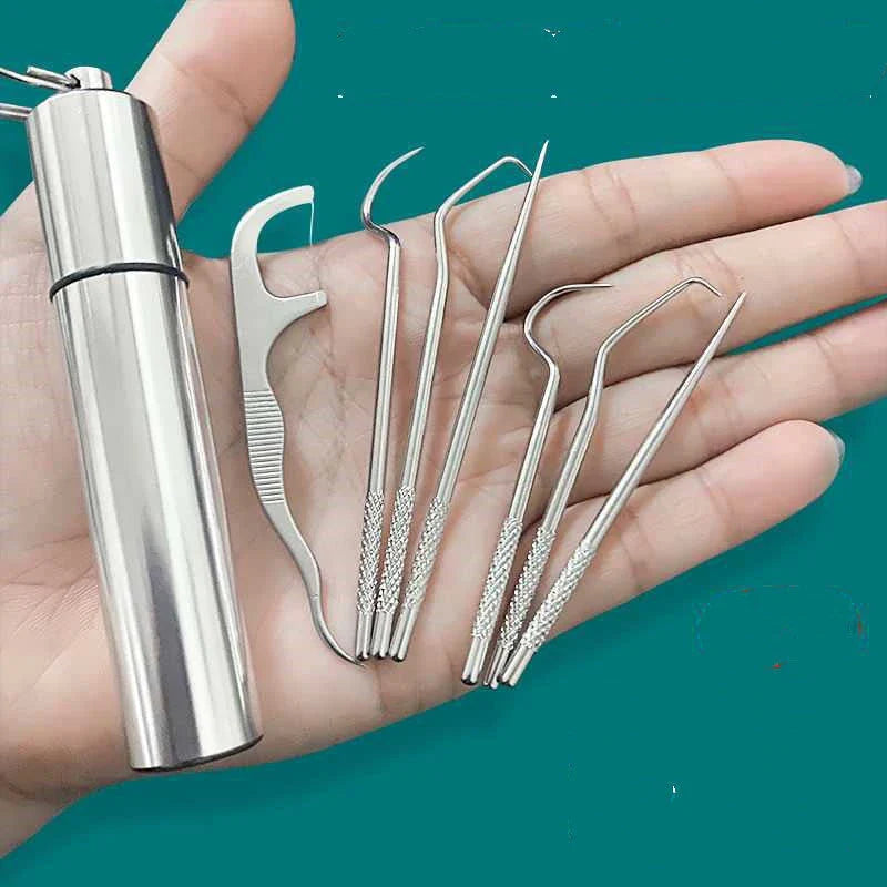Premium Stainless Steel Toothpick Set with Short and Long Picks for Portable Dental Cleaning